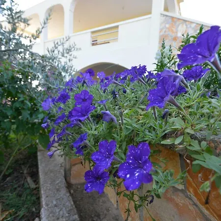 Apartman Andela Appartamento Slivnica